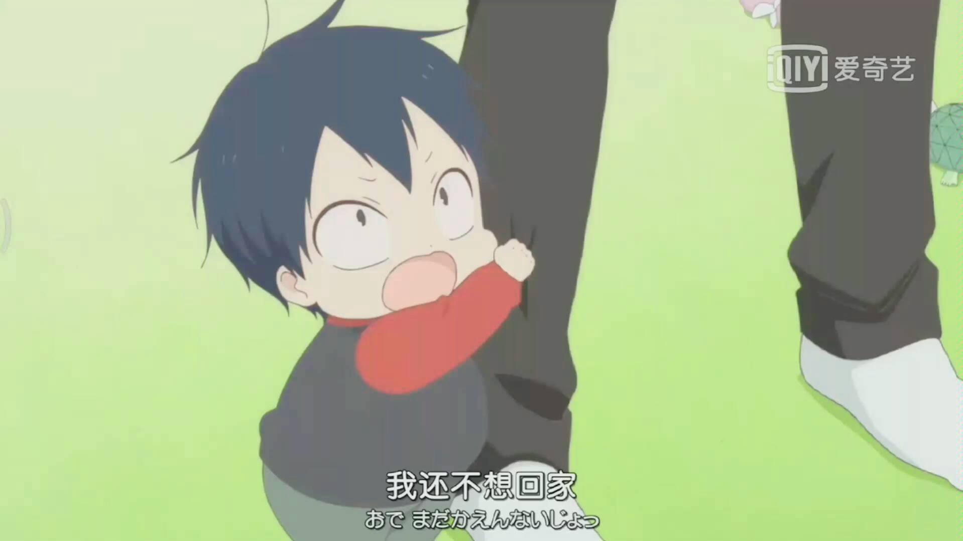 小鹰狼谷隼