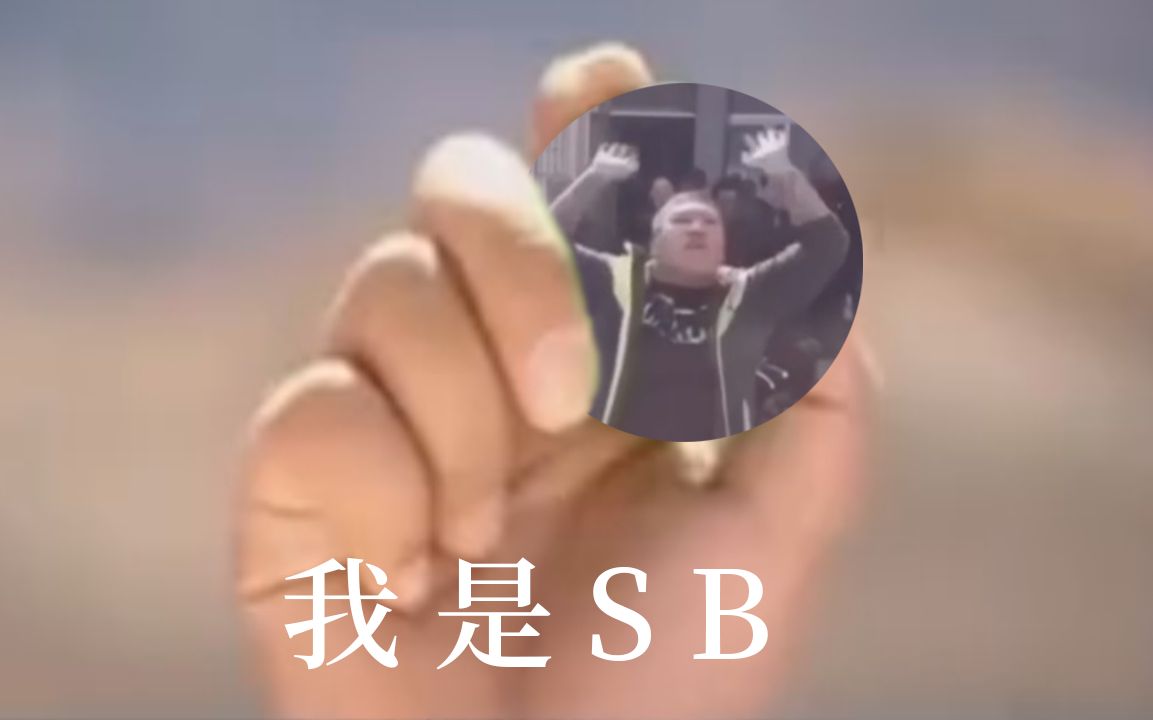 我 是 S B哔哩哔哩bilibili