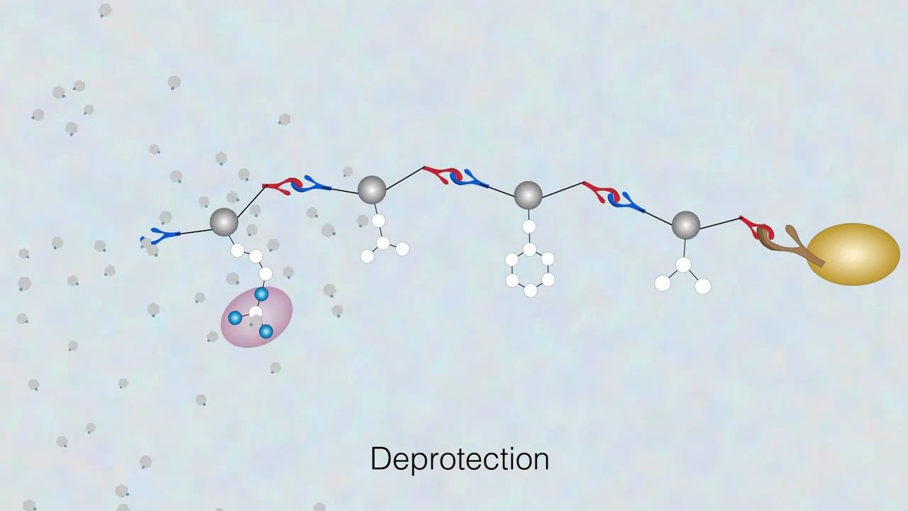 【Fmoc】<中英字幕>多肽固相合成演示动画 Solid Phase Peptide Synthesis哔哩哔哩bilibili