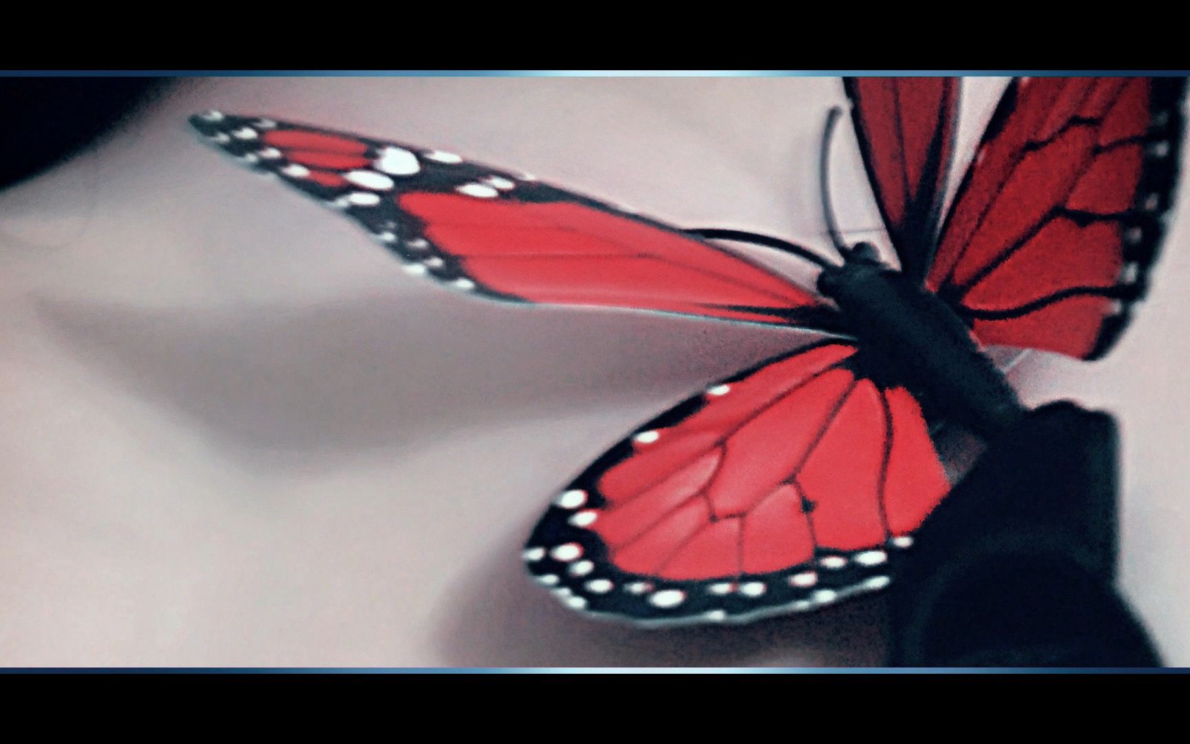 毒伯爵该隐-蝴蝶骨cos静态mv by sky天