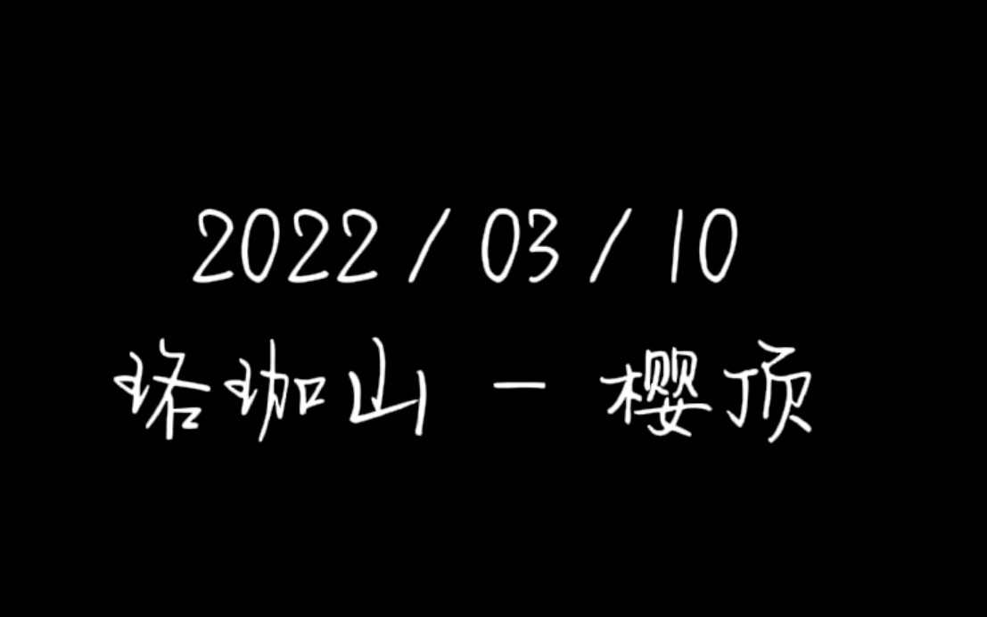 [图]VLOG｜我在珞珈山樱花城堡的官宣现场