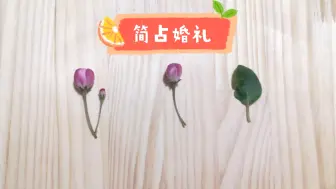 Download Video: 【有分组】婚礼状况；婚礼前后各自的想法