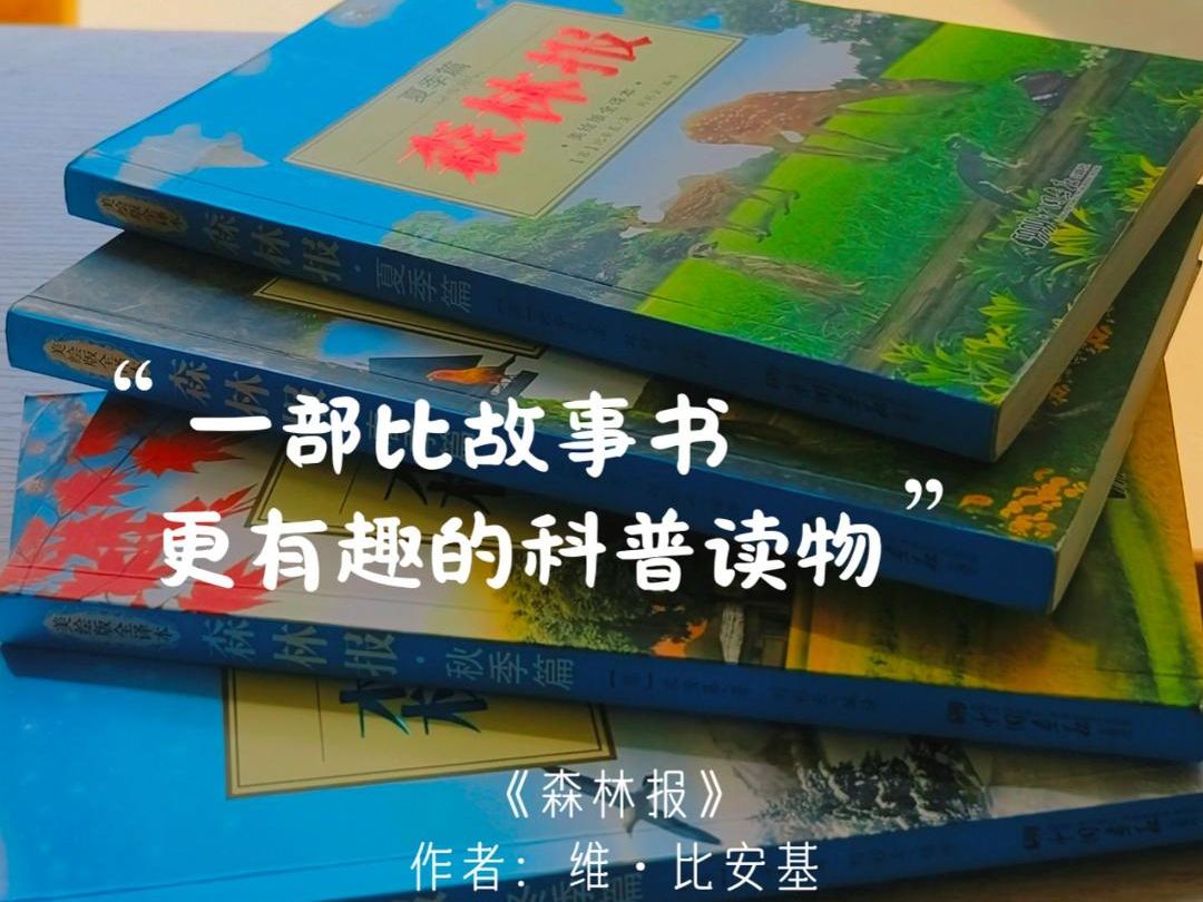 8月15日森林报视频号(1)封面哔哩哔哩bilibili