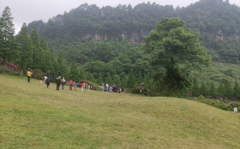 綦江古剑山风景区哔哩哔哩bilibili