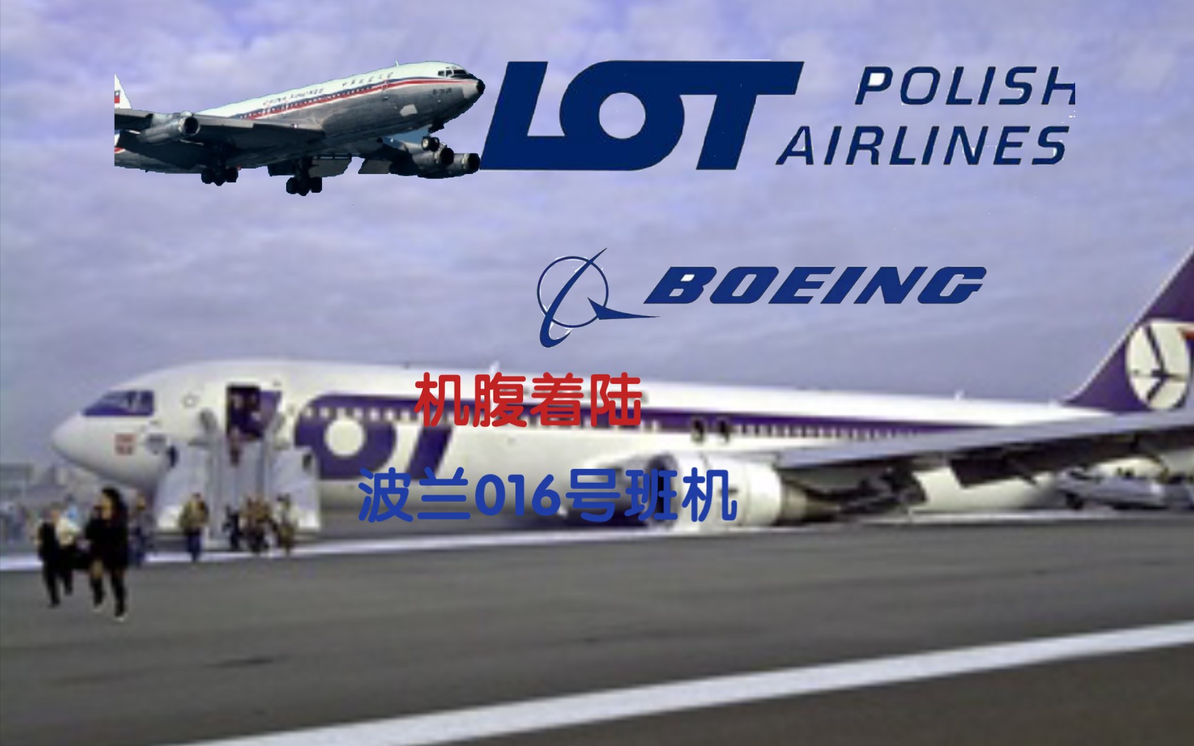 波兰航空016图片