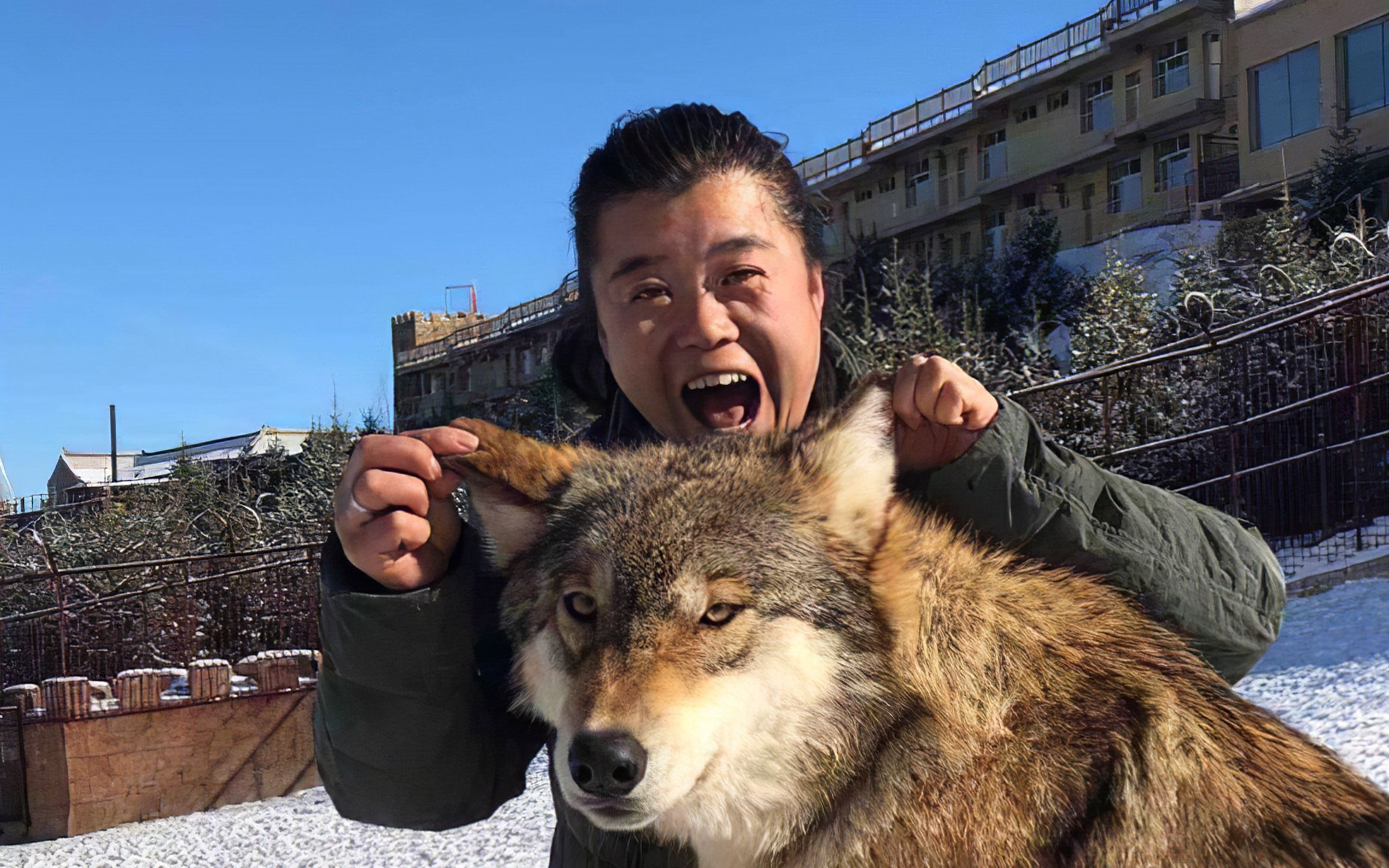 【转载】"我在新疆养狼"直播抓取 20年1月11号