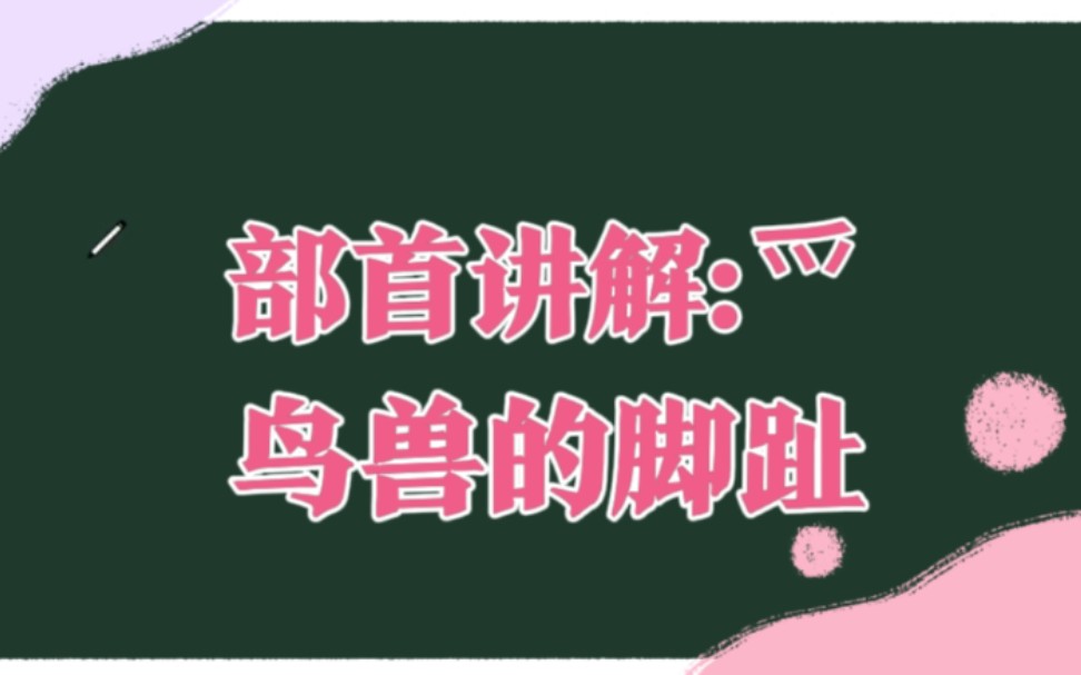 【汉字部首】爫 鸟兽一脚一脚踩出来的汉字地位哔哩哔哩bilibili