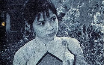 【剧情/战争】百合花 (1981) 修复版哔哩哔哩bilibili