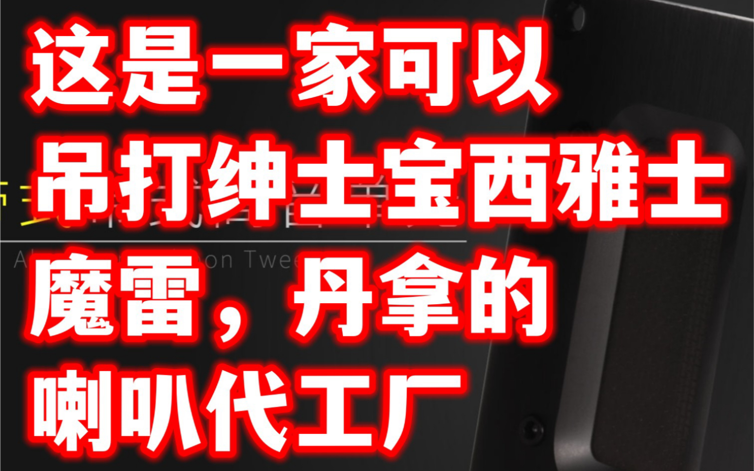 南海之声吴总的可以秒天地的喇叭代工厂到底是何方神圣?? 大家帮我分析一下!哔哩哔哩bilibili