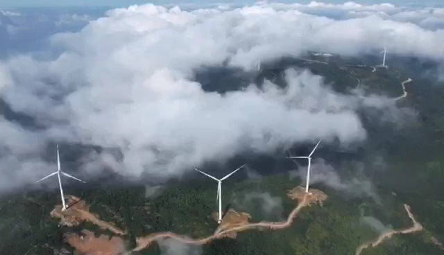 厦门最高山.秦云铙岭山.旅游风景区哔哩哔哩bilibili