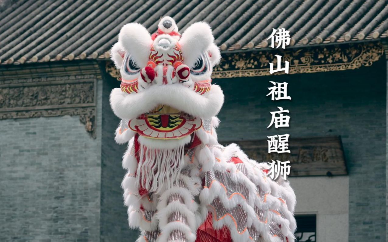 总要来趟佛山吧,体验岭南文化,看醒狮表演