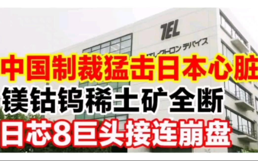 中国制裁猛击日本心脏,镁钴钨锡硅稀土矿全断,日芯8大巨头接连崩盘哔哩哔哩bilibili