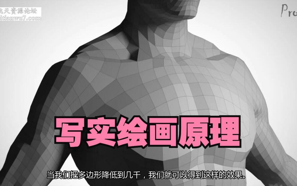 【写实绘画原理】Proko（合集）中字_哔哩哔哩_bilibili