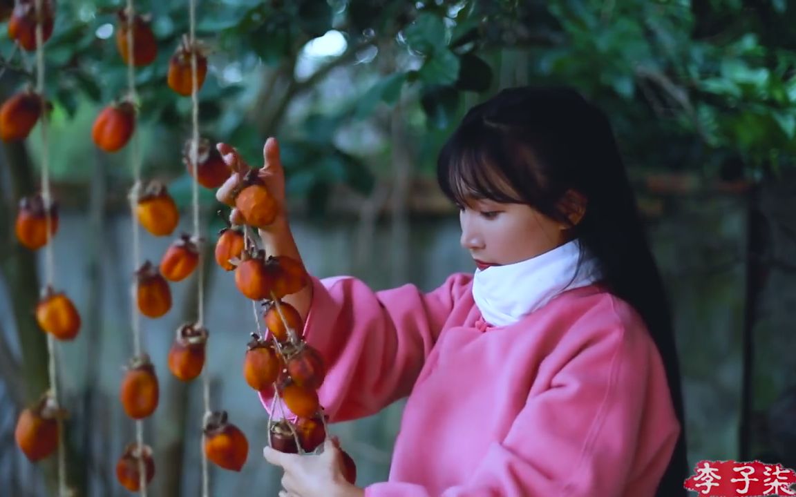 外国网友youtube评论: 越南是否有人在视频中迷失!李子柒制作柿饼