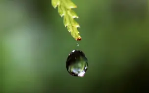 Video herunterladen: 【自然空镜】 水滴｜雾淞｜斗转星移｜极光｜枫叶｜蝴蝶