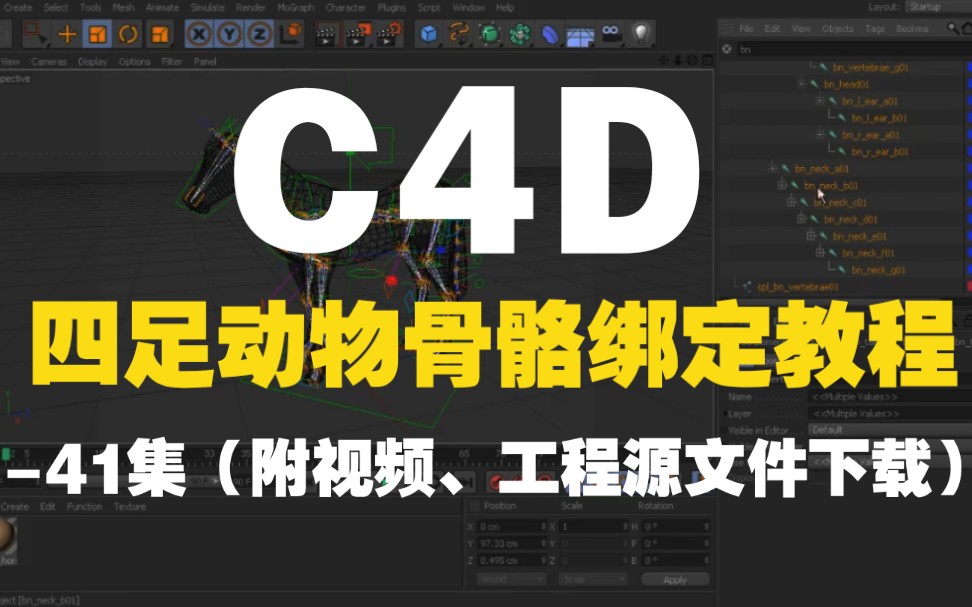 C4D中四足动物骨骼绑定教程41集(附视频、工程源文件下载)哔哩哔哩bilibili