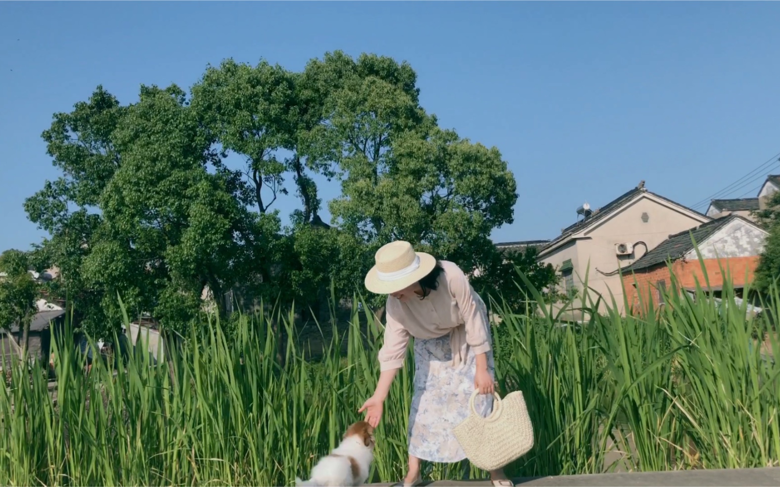 [图]初夏乡村的黄昏