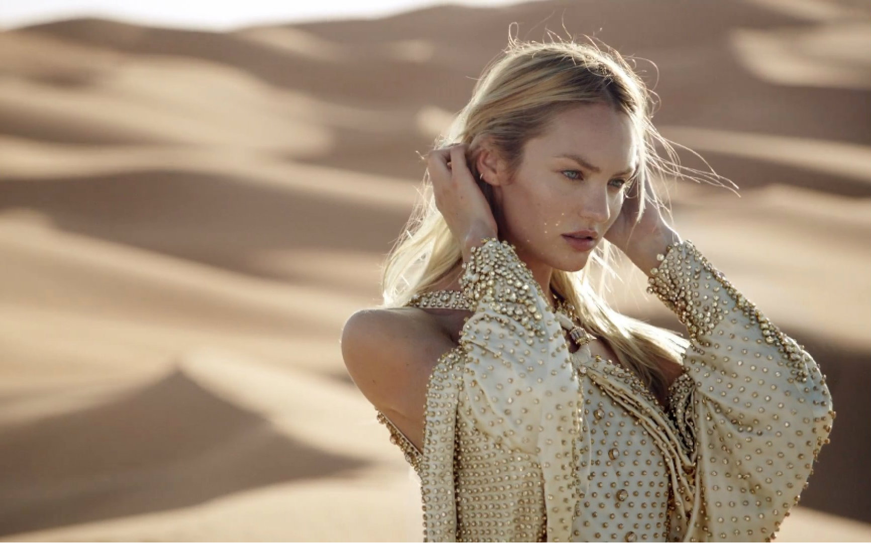 dahlia divin le nectar de parfum_哔哩哔哩 (゜-゜)つロ 干杯~-bili