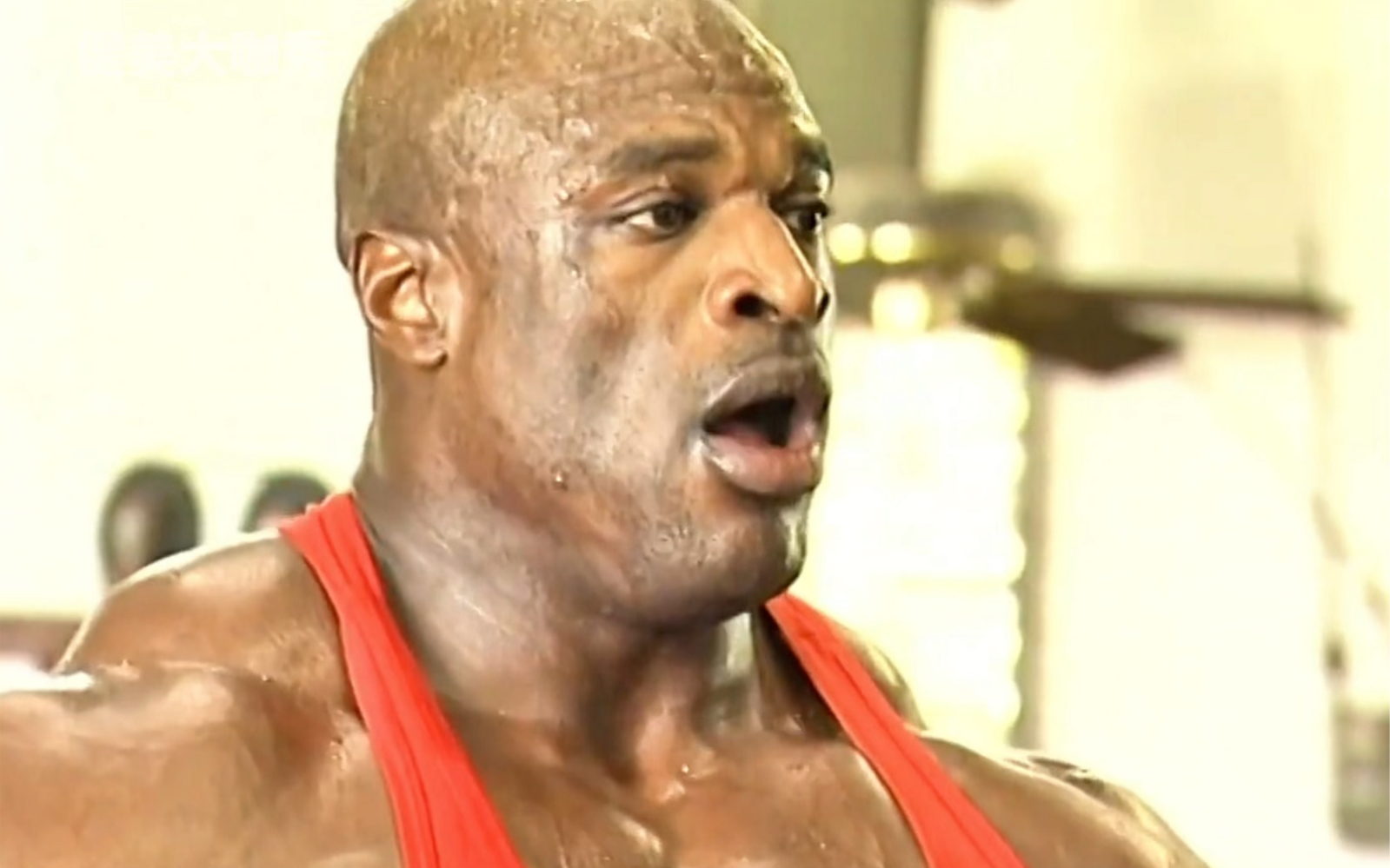 刚练完背之后累成狗的罗尼二头肌 小腿训练