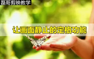 Download Video: 剪映让画面静止的定格功能 可以制作瞬间画面停止的效果