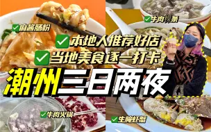 Download Video: 暴走潮州3天2夜美食之旅！吃尽当地特色美食！体验本地人的快乐！潮州vlog！