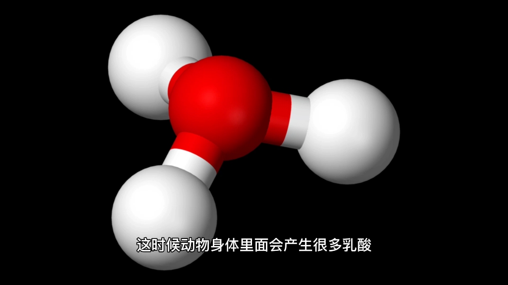 为什么现在的肉有排酸一说?以前的为什么不用排酸呢?哔哩哔哩bilibili