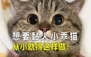 Video herunterladen: 🐱养成小乖猫的4个秘诀，随你rua👐❗️