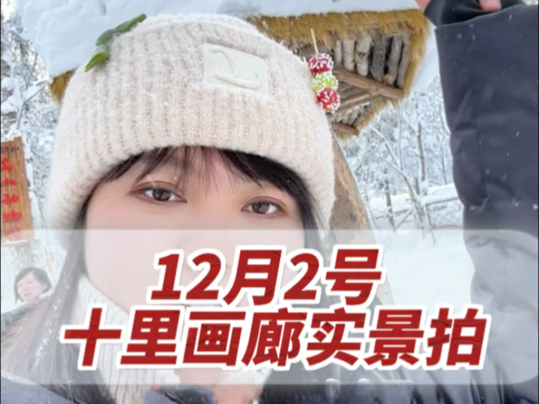 2024年12月2号,哈尔滨前往雪乡的冰雪十里画廊,雪景实拍哔哩哔哩bilibili