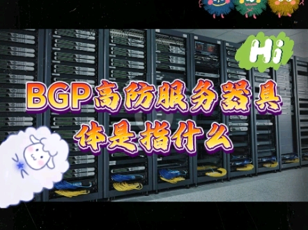 BGP高防服务器具体是指什么