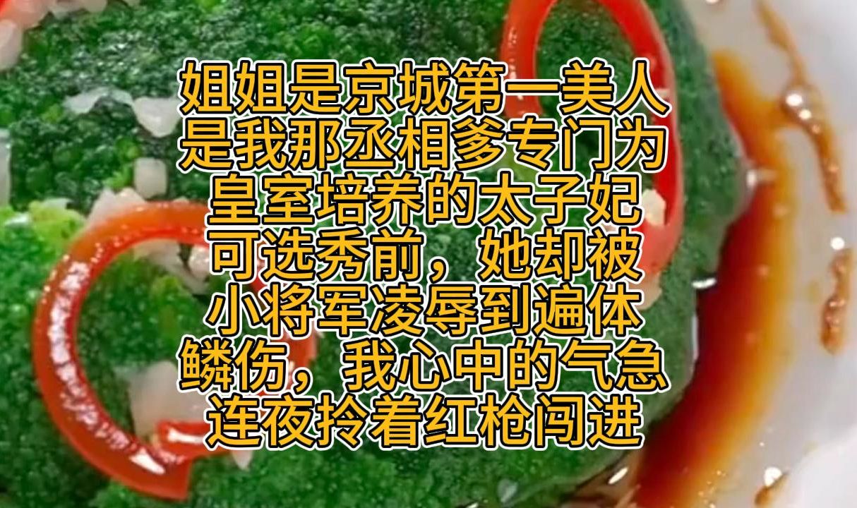 姐姐是京城第一美人,是我那丞相爹专门培养的太子妃哔哩哔哩bilibili