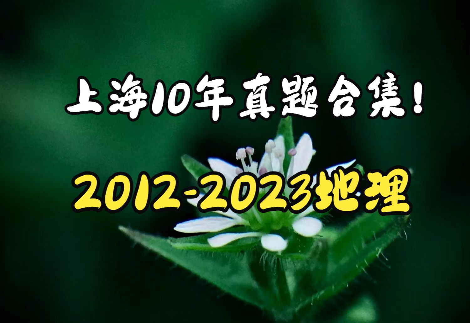 20122023年上海地理十年等级考真题评析哔哩哔哩bilibili