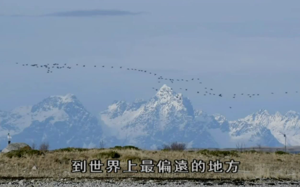 [图]世外野人第六季 荒野新生