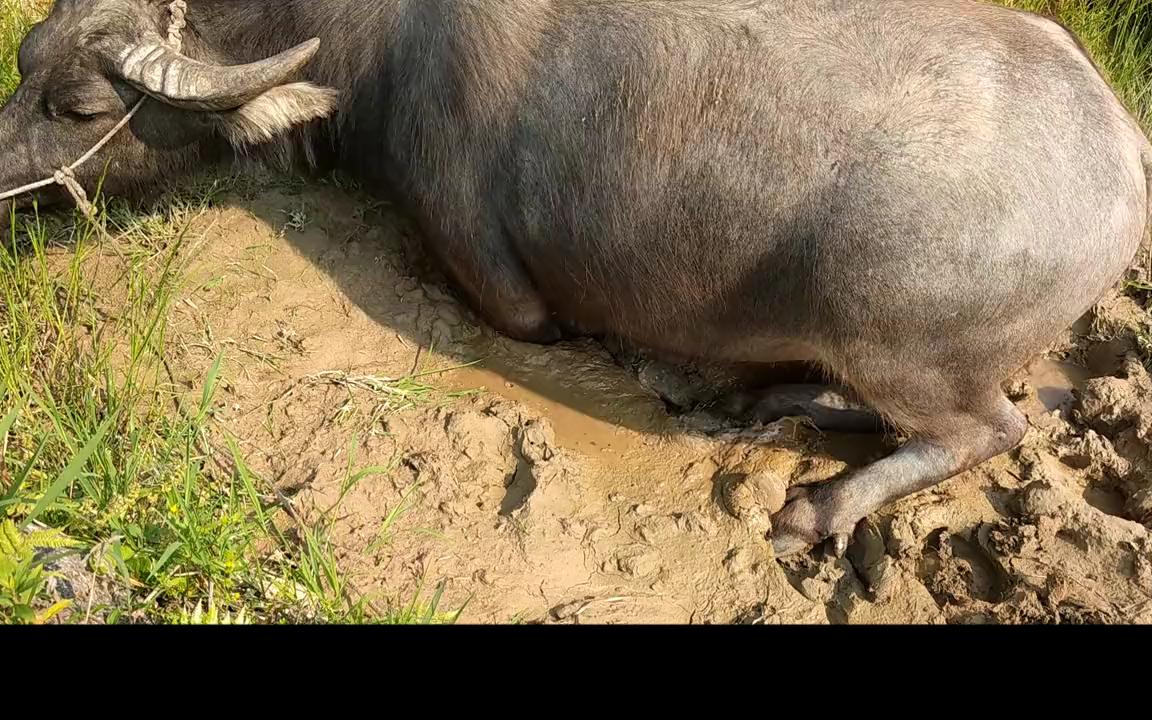 [图]直到我在潭头看到了自己的倒影