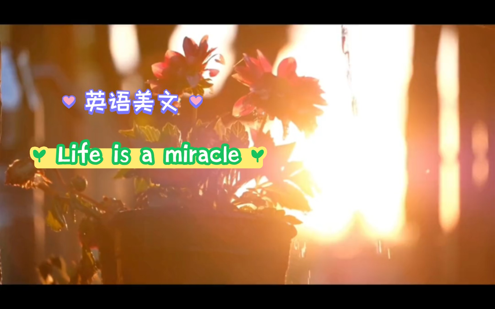 [图]英语美文学习 Life is a miracle