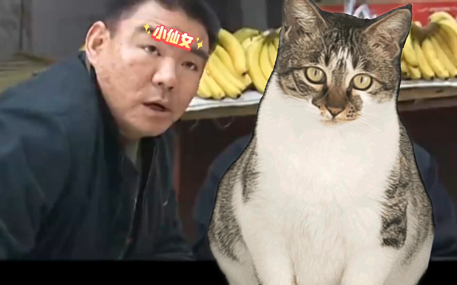 生瓜蛋子