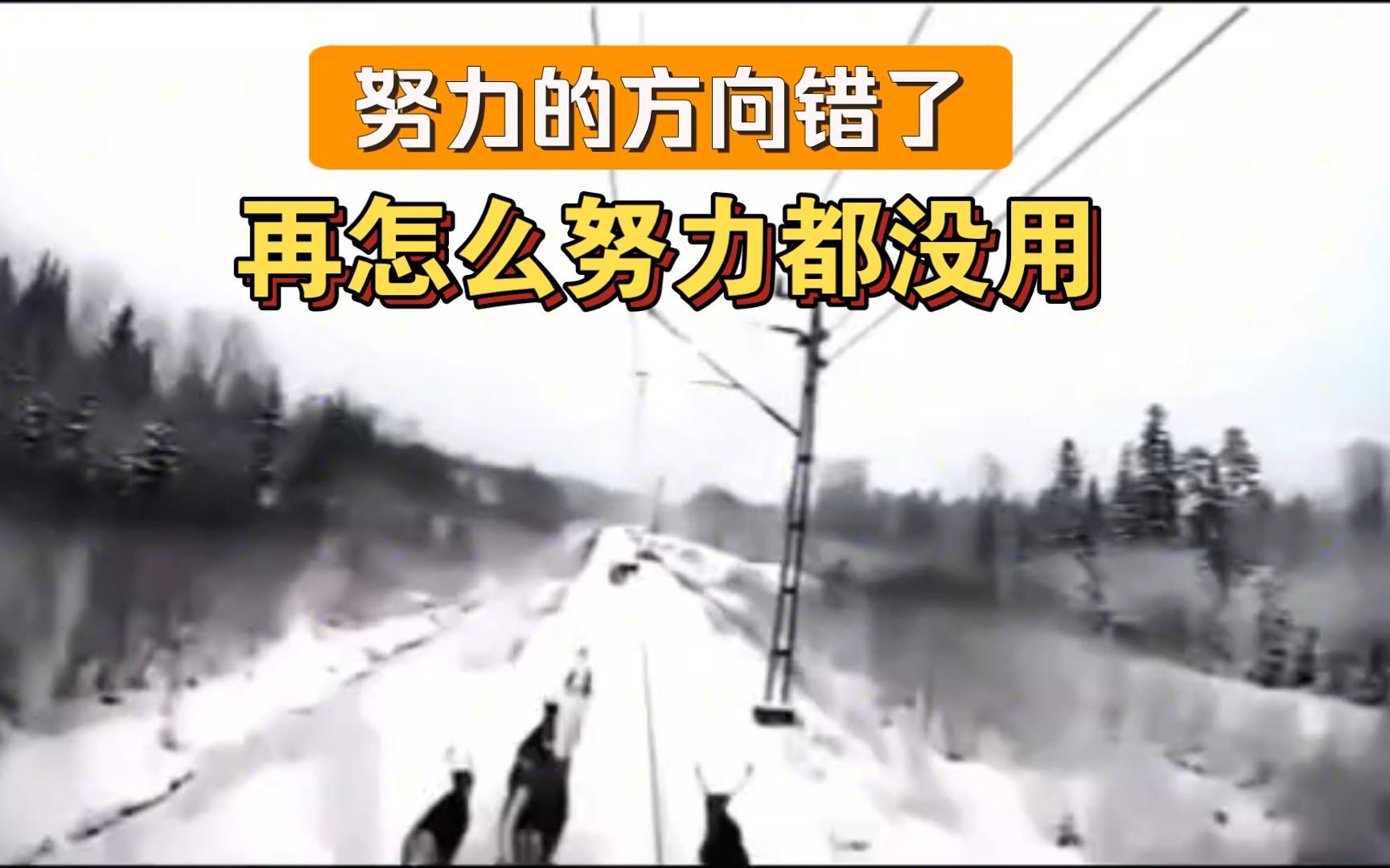 努力的方向错了,再怎么努力都没用