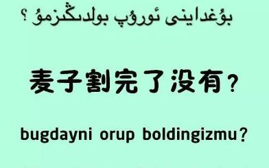 用维吾尔语跟农民交流都要说些什么呢?哔哩哔哩bilibili