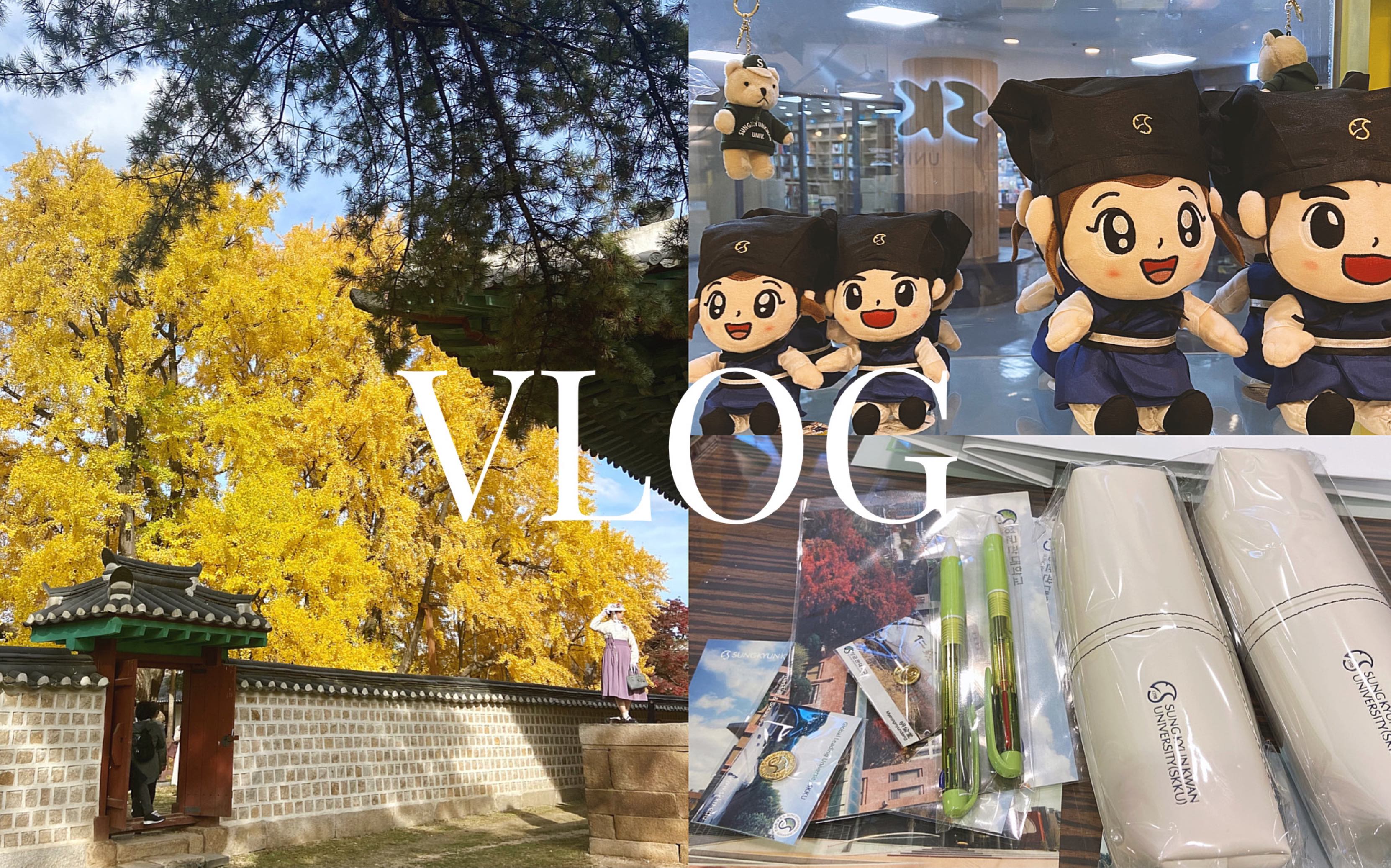 成均馆传媒研究生日常Vlog06(学习日常,食堂炒乌冬,成均馆周边,成均馆银杏树)哔哩哔哩bilibili