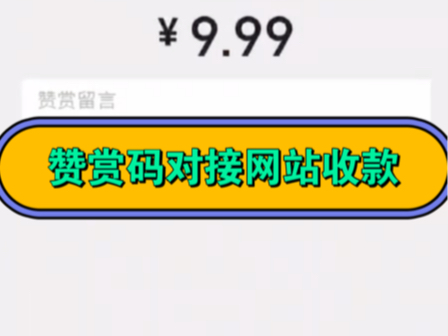 宋辞码支付演示效果,直接收款到自己的钱包余额,不需要营业执照,不经过任何第三方转换,收款更放心哔哩哔哩bilibili