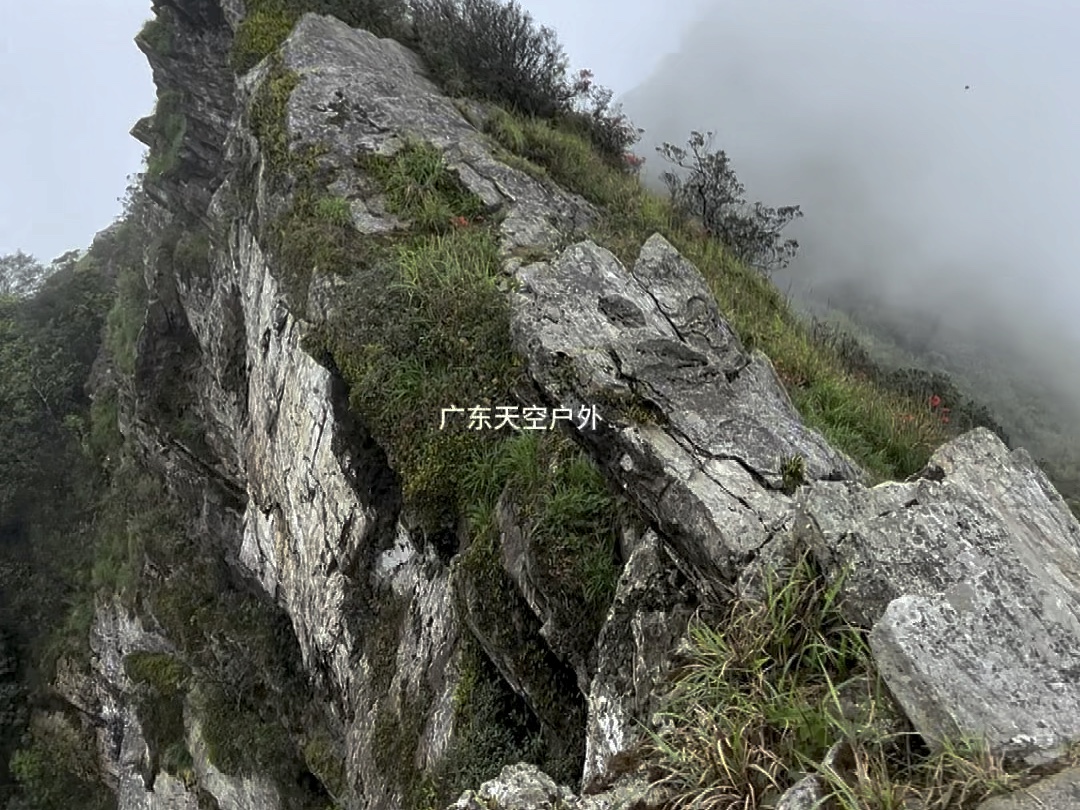 十二灶,位于广东茂名信宜市贵子镇秋风根村,海拔高度约1350米.传说远古天兵征讨洪荒猛兽,路过十二灶顶,在山顶休整埋锅做饭,留下十二个火灶,因...