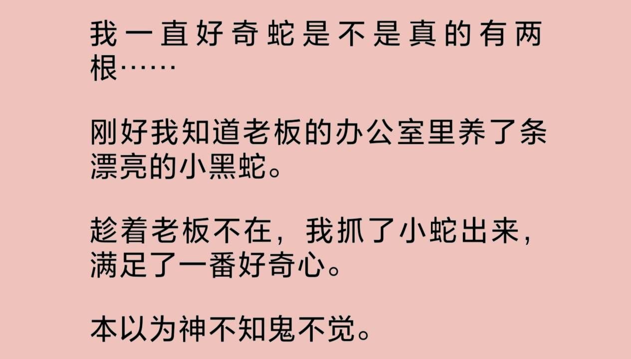 我一直好奇蛇是不是真的有两根?刚好我知道老板的办公室里养了条漂亮的小黑蛇.趁着老板不在,我抓了它出来,满足了一番好奇心……哔哩哔哩bilibili