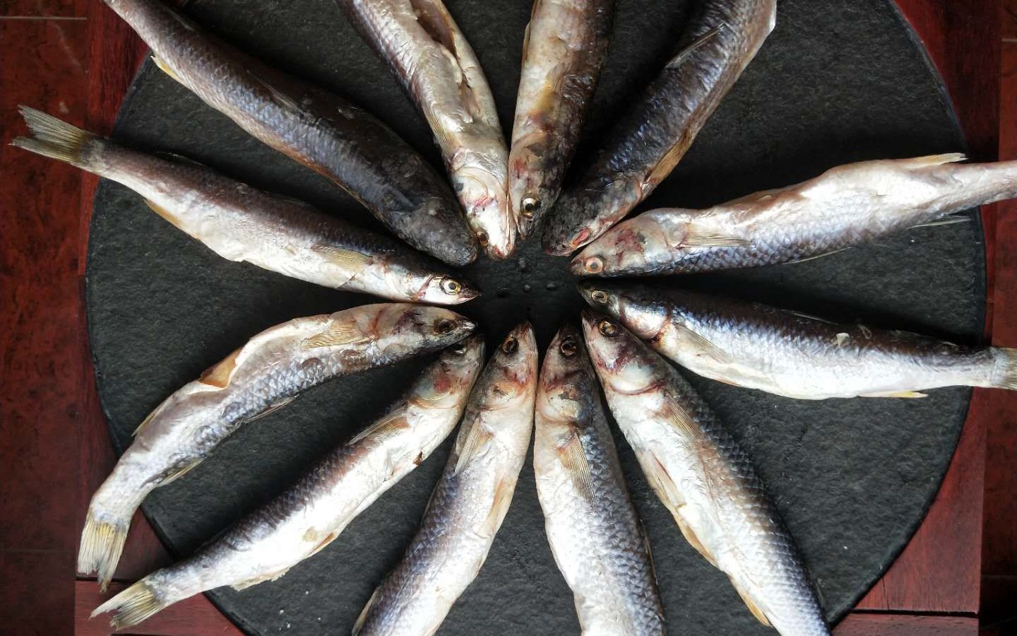 香煎梭鱼干,咸香美味,开胃下饭,吃上一口就停不下来!