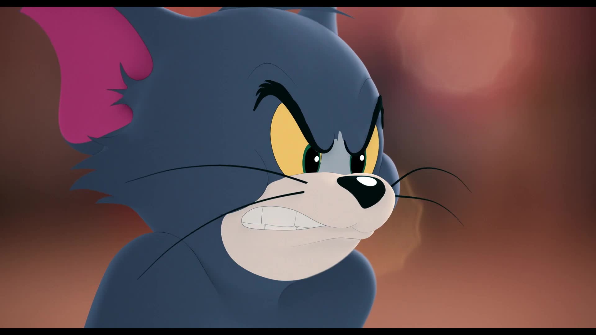 汤姆猫与杰利鼠功夫篇现正热映中_哔哩哔哩_bilibili