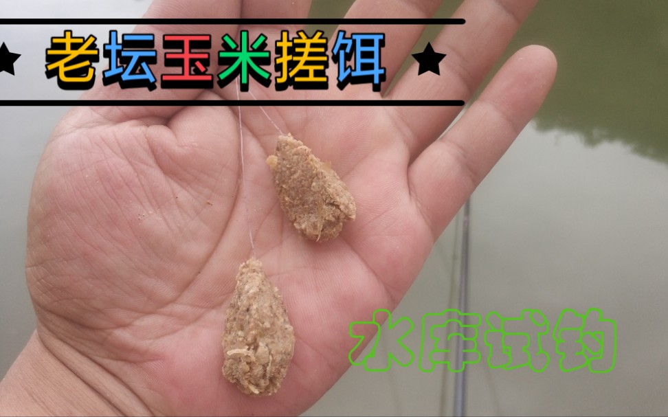 [图]老坛玉米做成搓饵水库试钓看鱼爱不爱吃，这个结果和想的有点不一样啊！