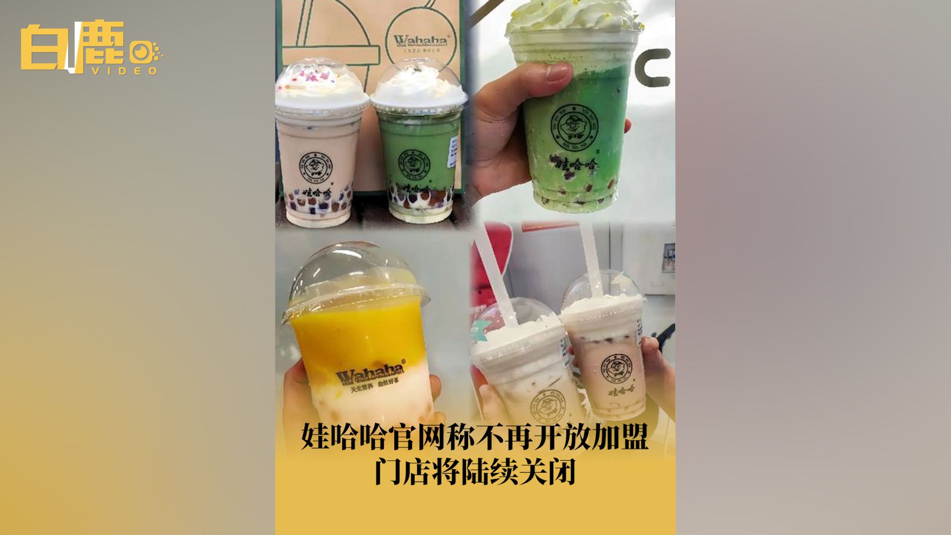 娃哈哈奶茶店将陆续闭店哔哩哔哩bilibili