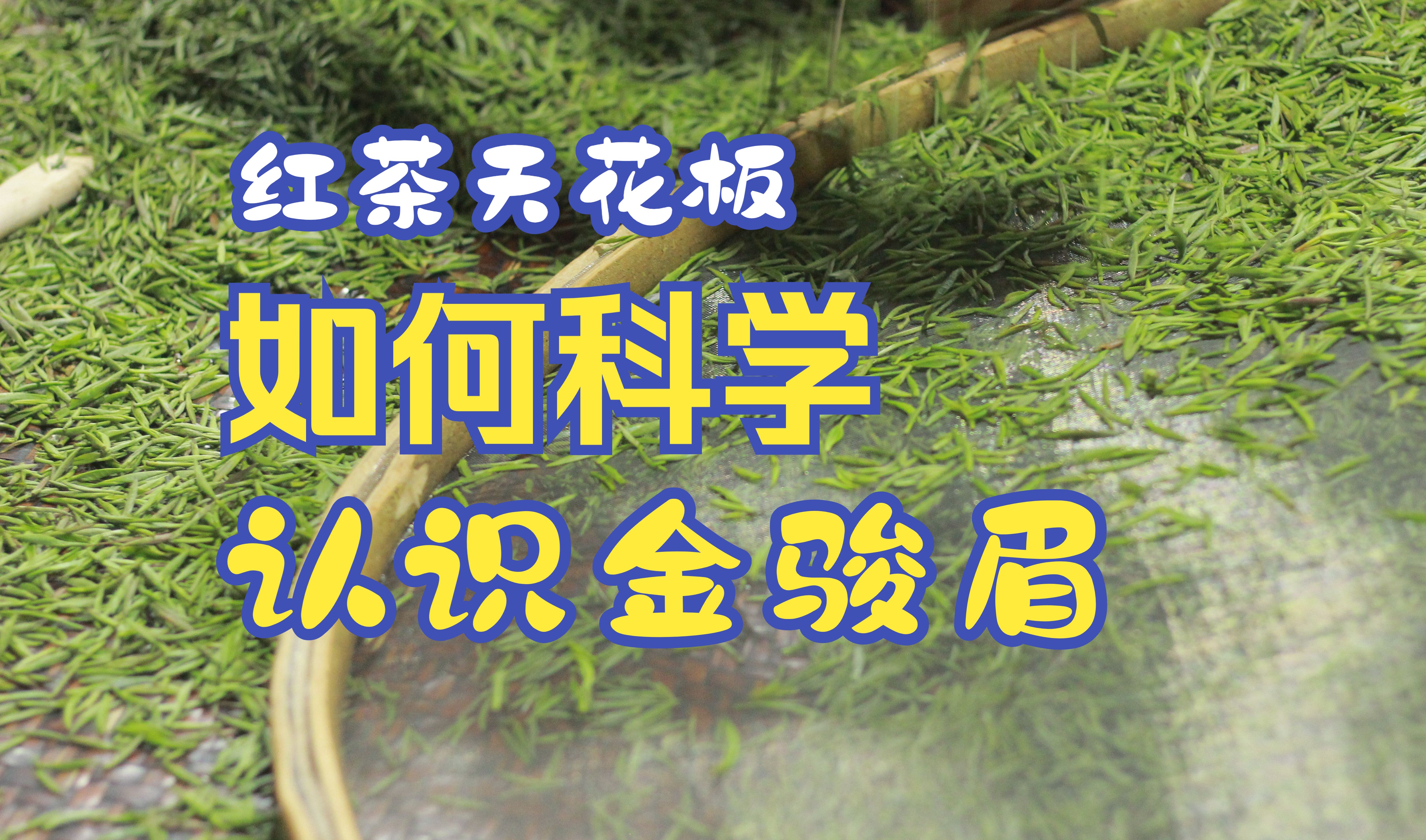 何谓“金骏眉”?一次性讲清楚它的前世今生以及鉴别方式哔哩哔哩bilibili