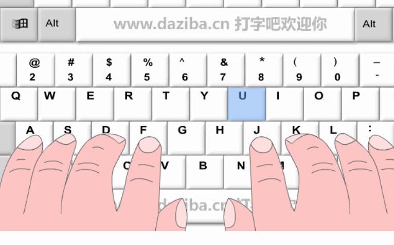 【网站安利】在线打字吧哔哩哔哩bilibili