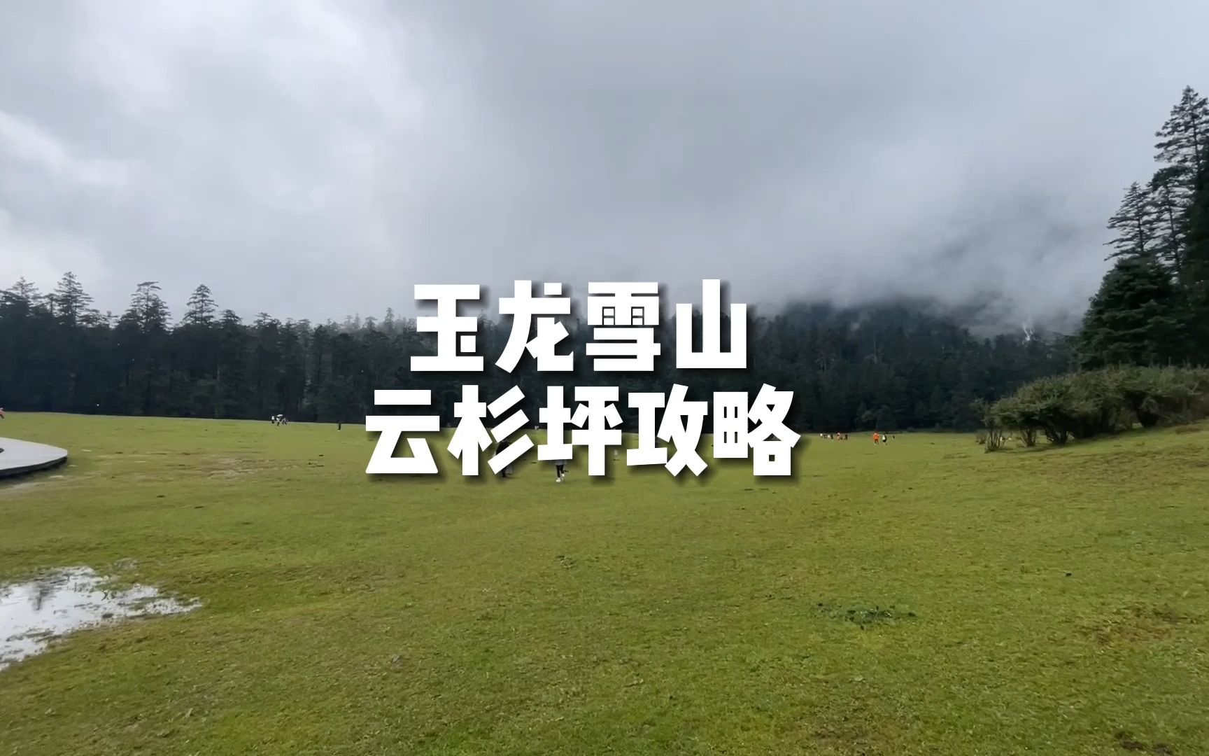 玉龙雪山云杉坪游玩攻略 风景如画 传说中的殉情圣地哔哩哔哩bilibili