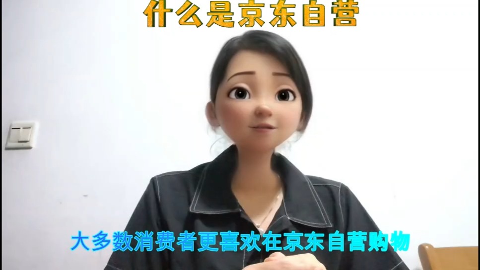 什么是京东自营4哔哩哔哩bilibili