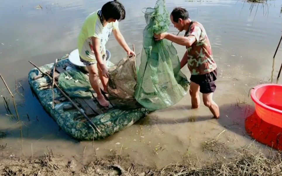 [图]安徽阜阳：蒙洼蓄洪区涨水没菜吃，跑十几里路去买鱼，结果失望了